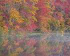 USA, New Jersey, Pine Barrens National Preserve. Autumn forest reflected in pond. Art Print